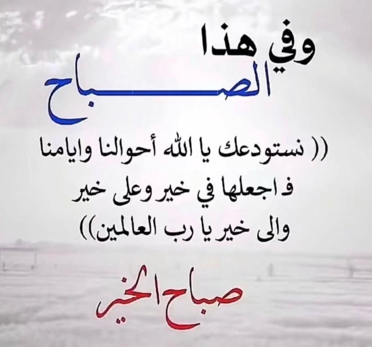بيـاض الغـيـم☁️ tweet media