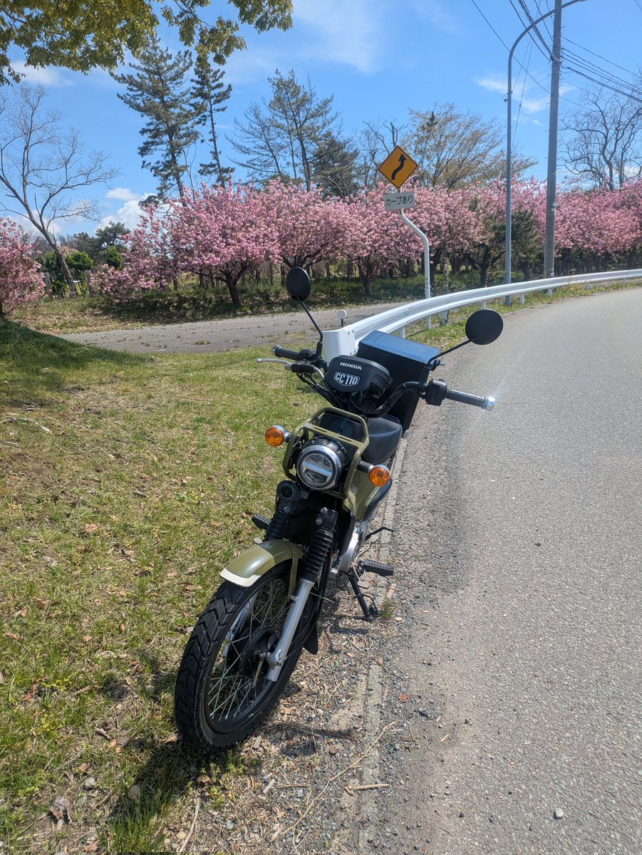 タケダキミコ tweet media