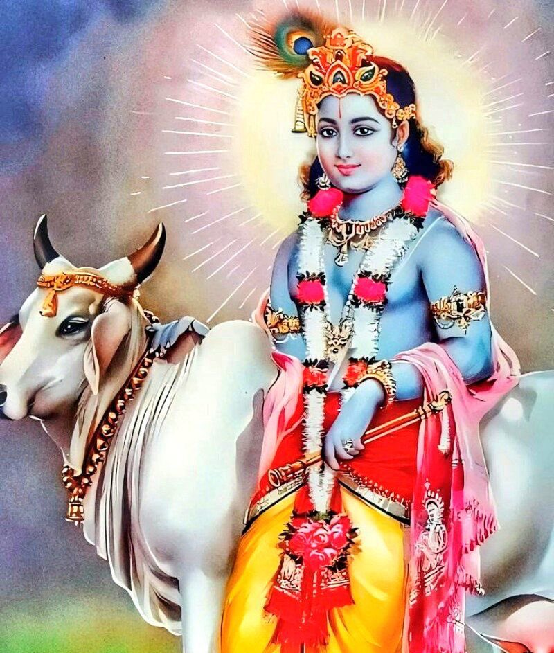 hourly krishna tweet media