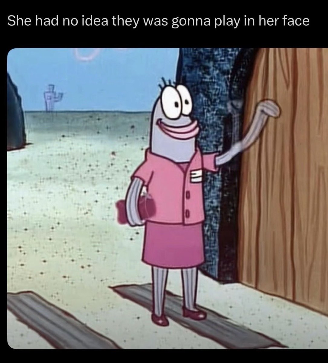 alice ~🐍 tweet media