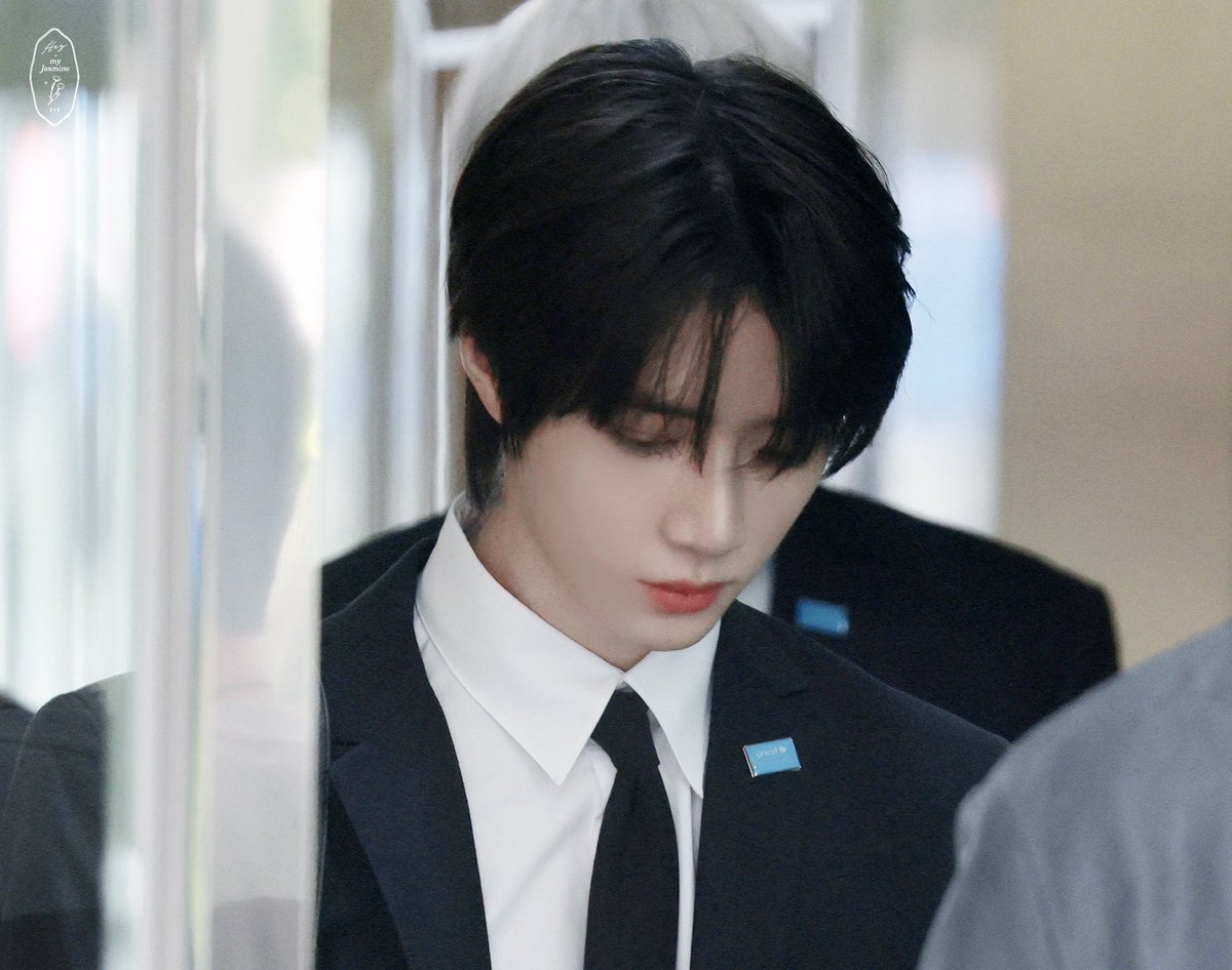 타조규범
범규조타