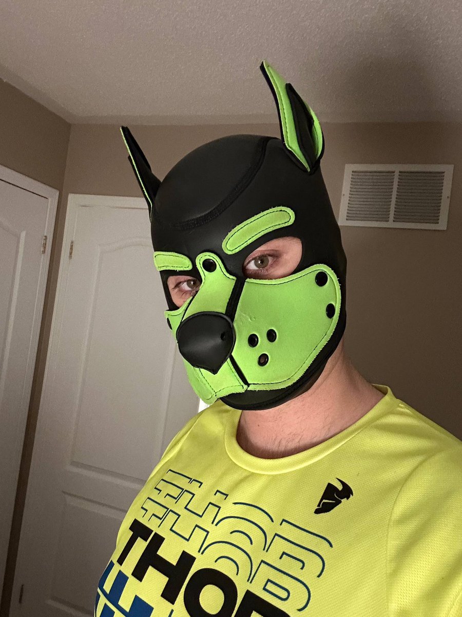 Hockey Pup - MUZZLED tweet media