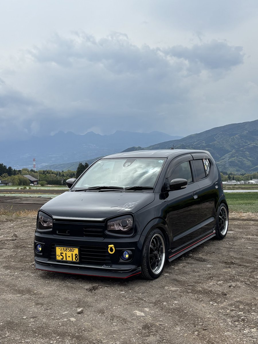 デッシー tweet media