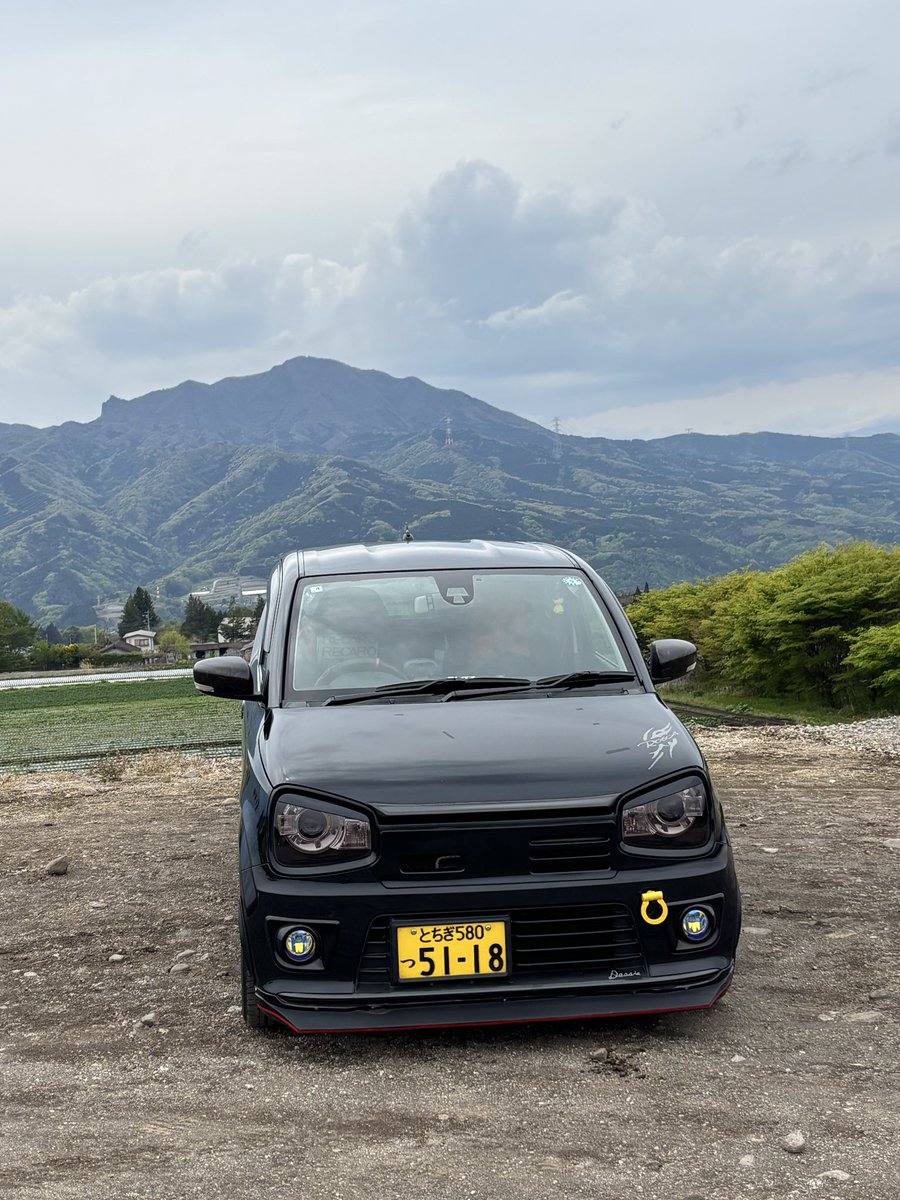 デッシー tweet media