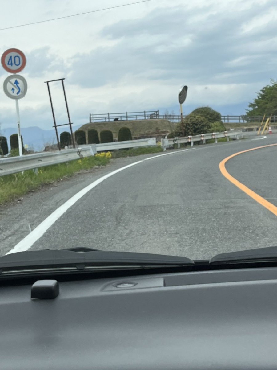 デッシー tweet media