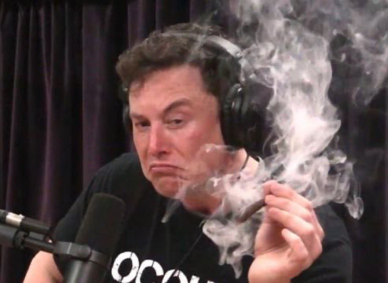 Not Elon Musk tweet media