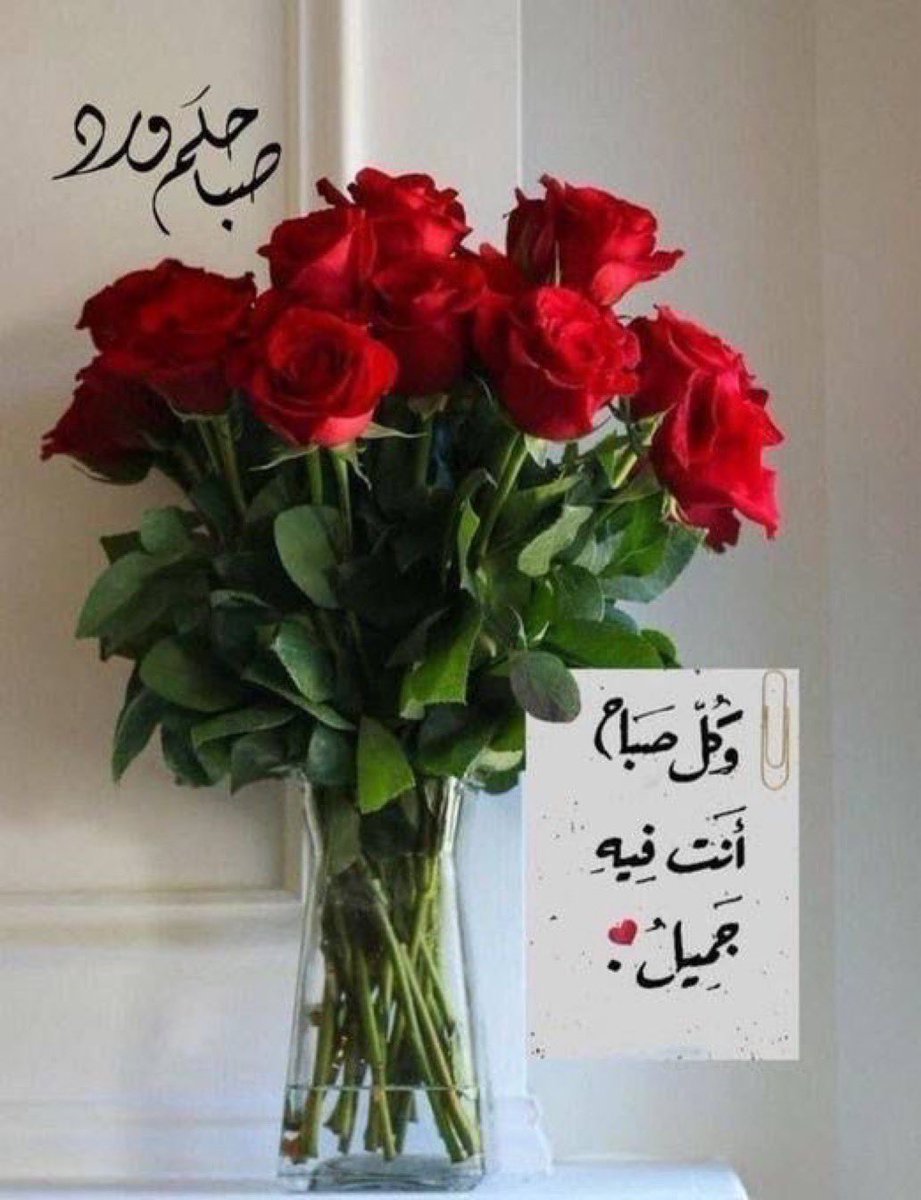 مفلح الصاطي الحربي tweet media