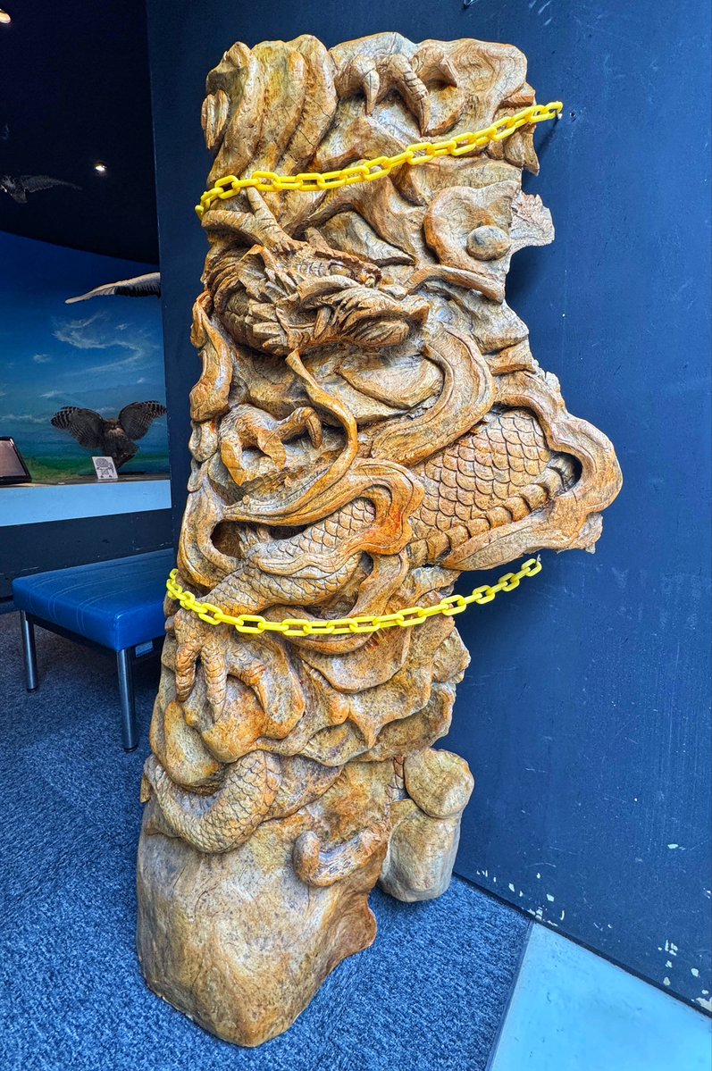 酒井聡平 講談社『死なないと、帰れない島』刊行&『硫黄島上陸 友軍ハ地下ニ在リ』15刷重版御礼 tweet media