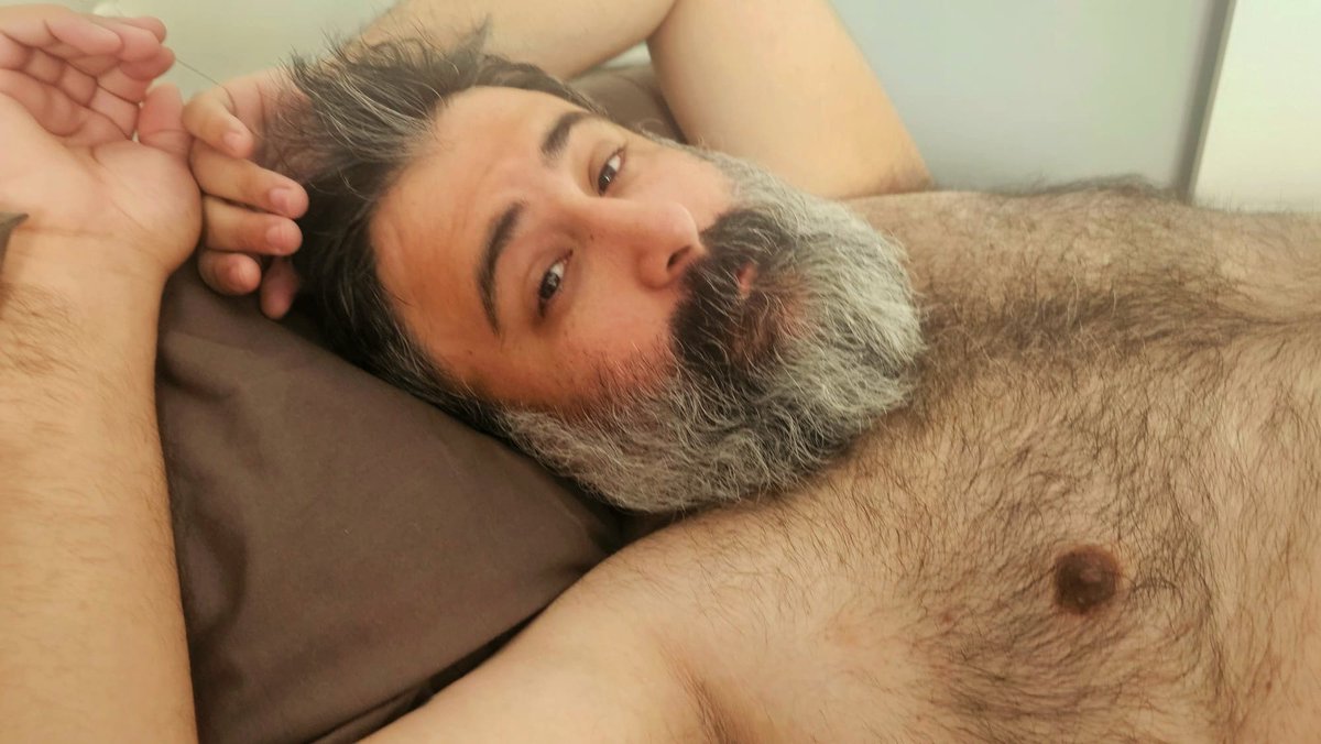The Bear Grandson tweet media