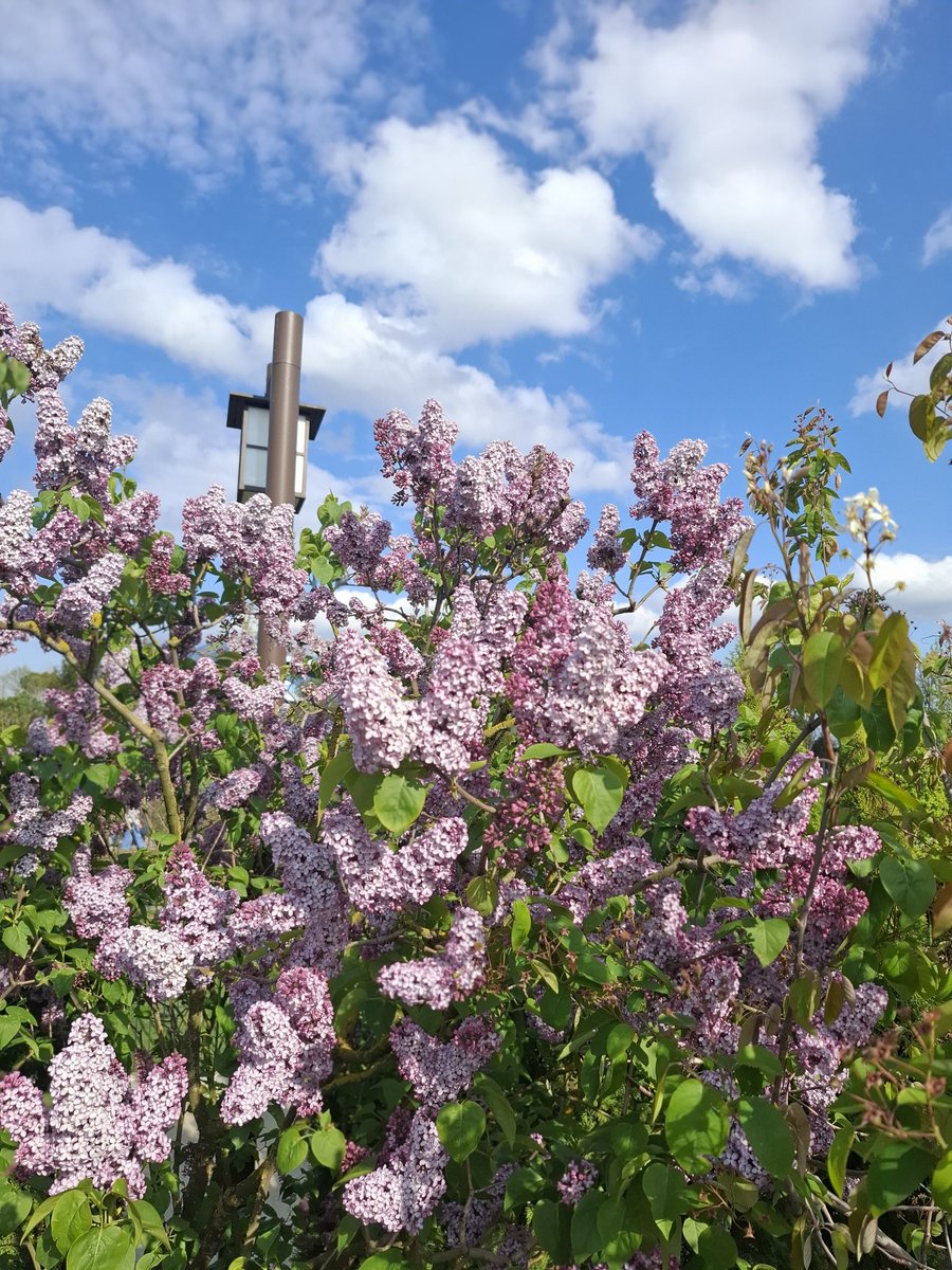 lost in the dream🦋7TH YEAR🤍 tweet media