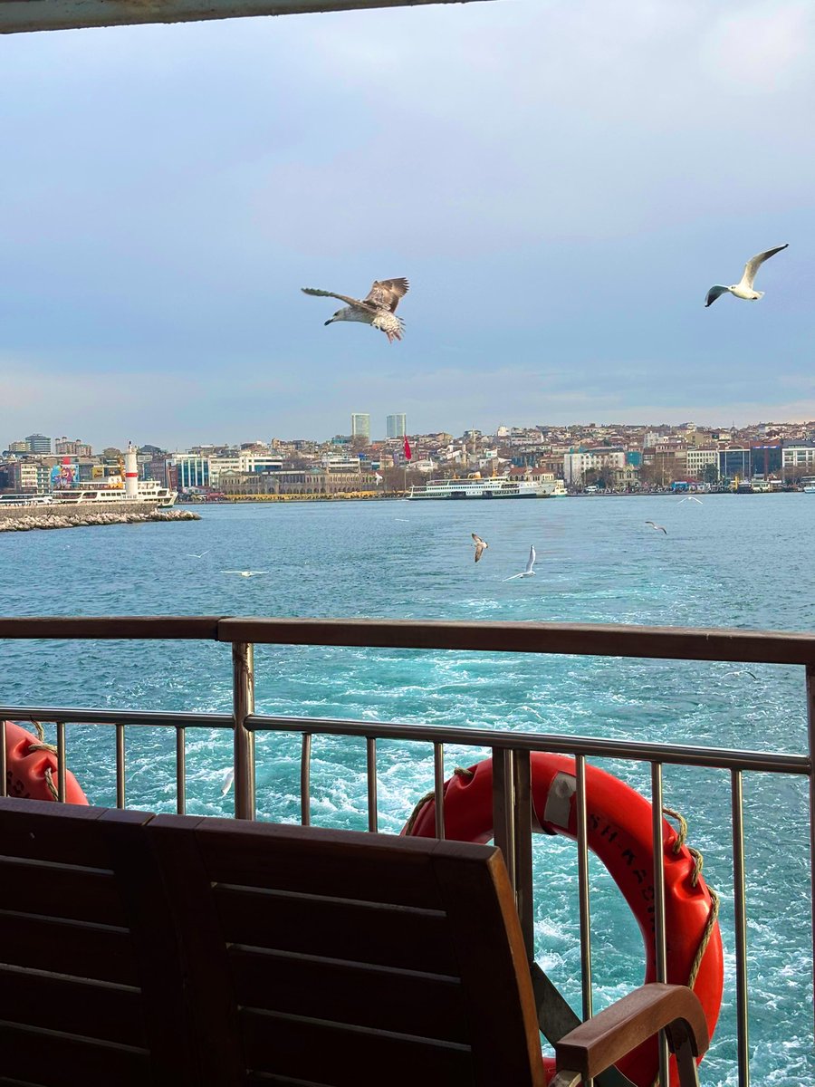 pass_beyy's tweet image. Sen umudunu kesersin.
O yol açar.
Sen olmaz dersin..
O oldurur.
Sen bitti dersin.
O yeniden başlatır.
Sen Allah de O Kerimdir.

Günaydın ☀️💫🌿

#dua
#çarşamba