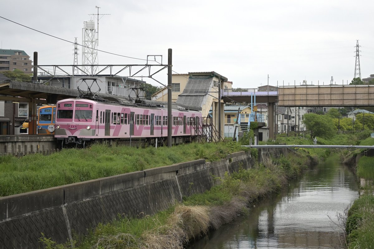 卡帕線 tweet media