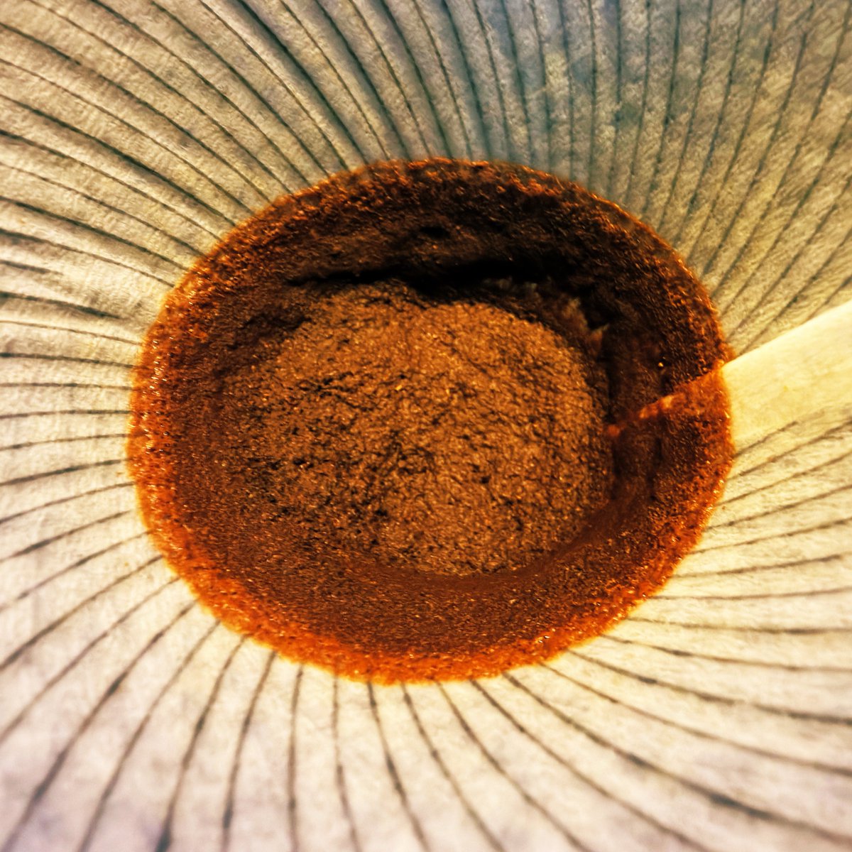 sheepwing_5's tweet image. 今日の特異点。
#coffee #PHILOCOFFEA #715CostaRica #DonEli #YABAI #HARIO #V60NEO