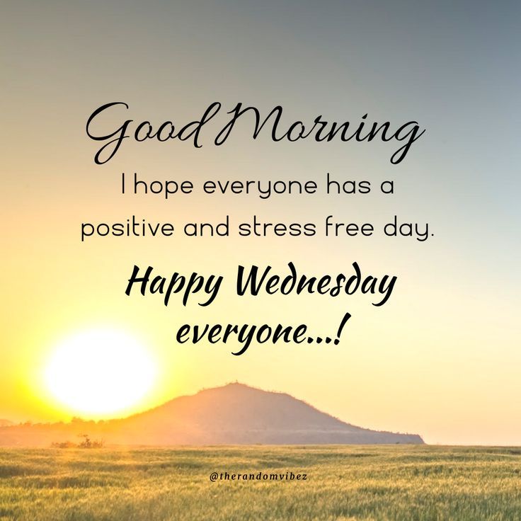 Angela ❤️🐶🌈🌞 tweet media