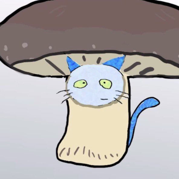 Jimokku.com tweet media