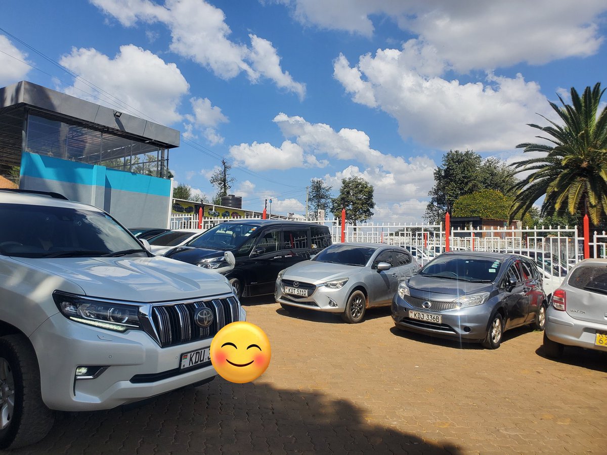 Mtu_kutu💦🍑 tweet media