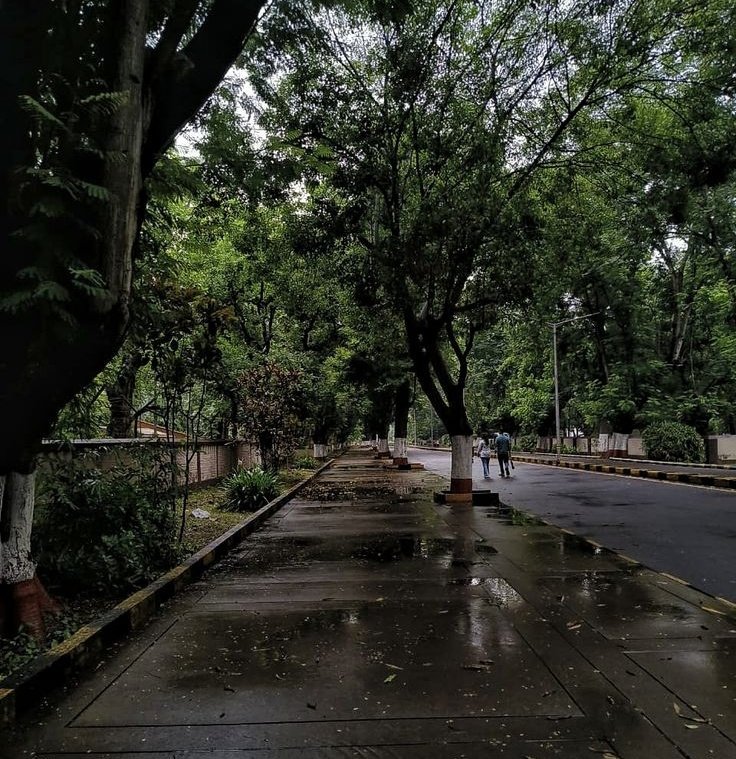 Akash⛩️💀 tweet media