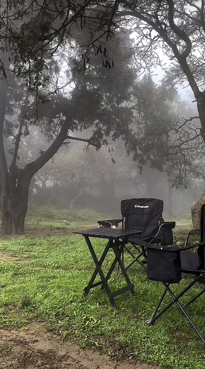 دولولو𐬺𐫱༻ tweet media