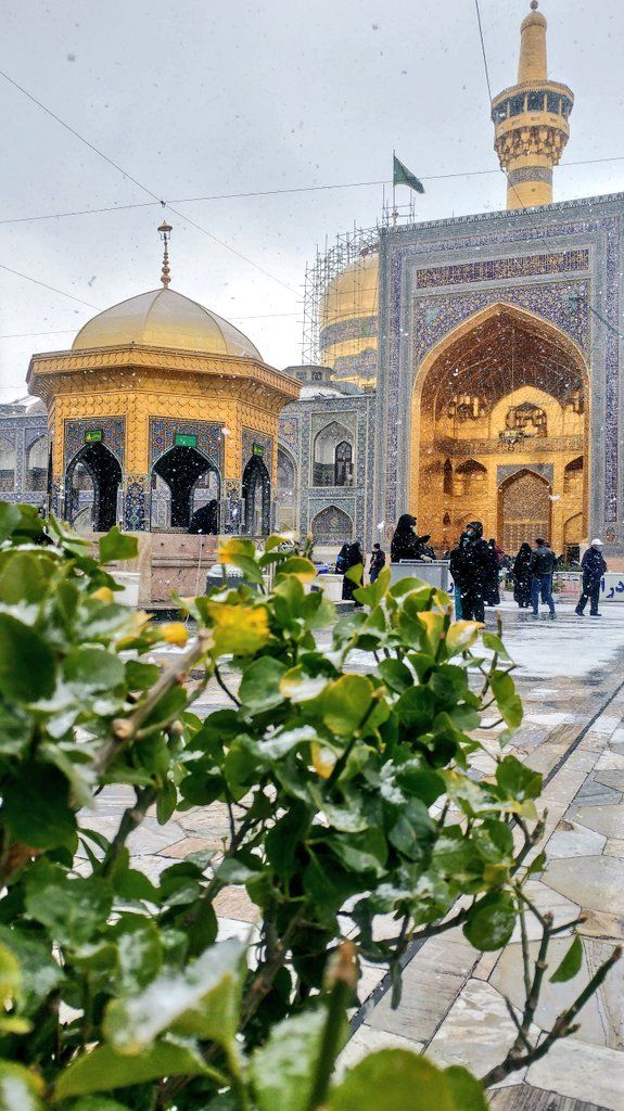 mohammad Taha tweet media