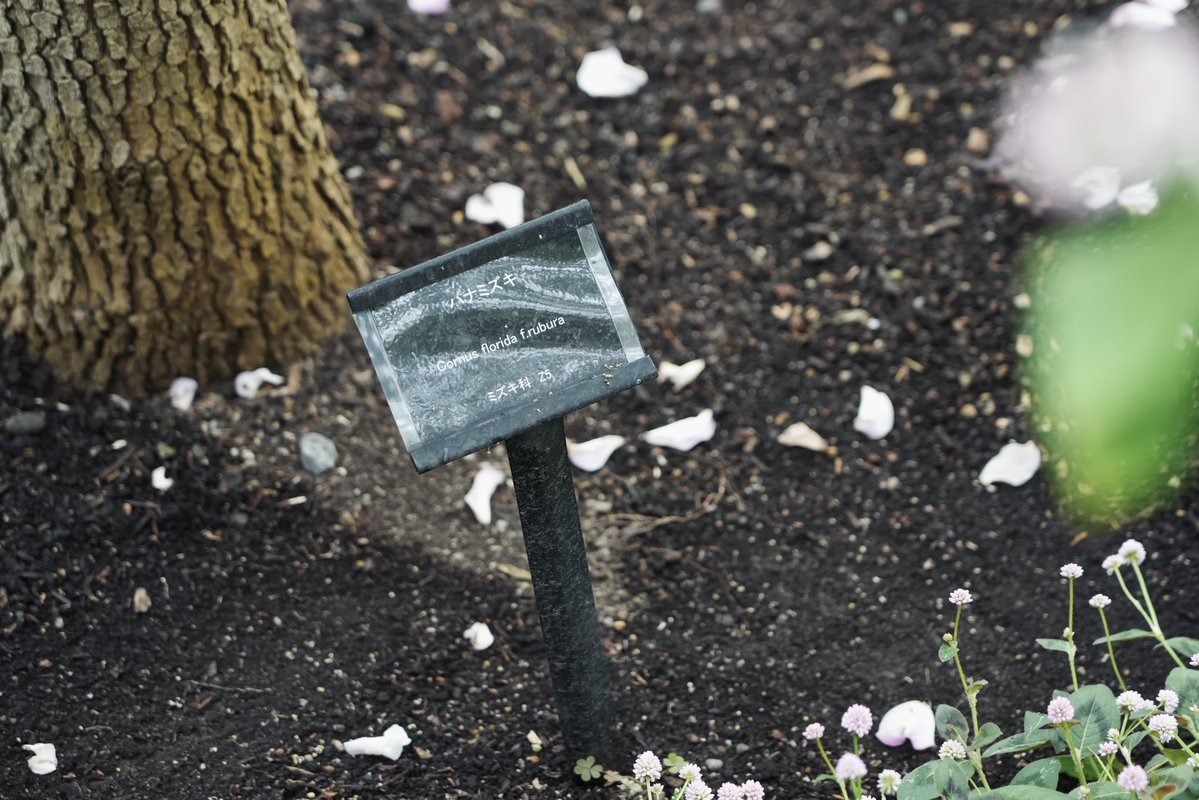 そらち tweet media