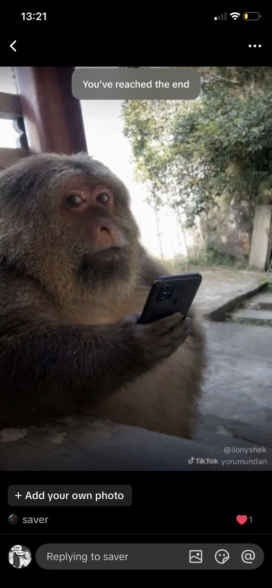 Jamboree de Peckham tweet media