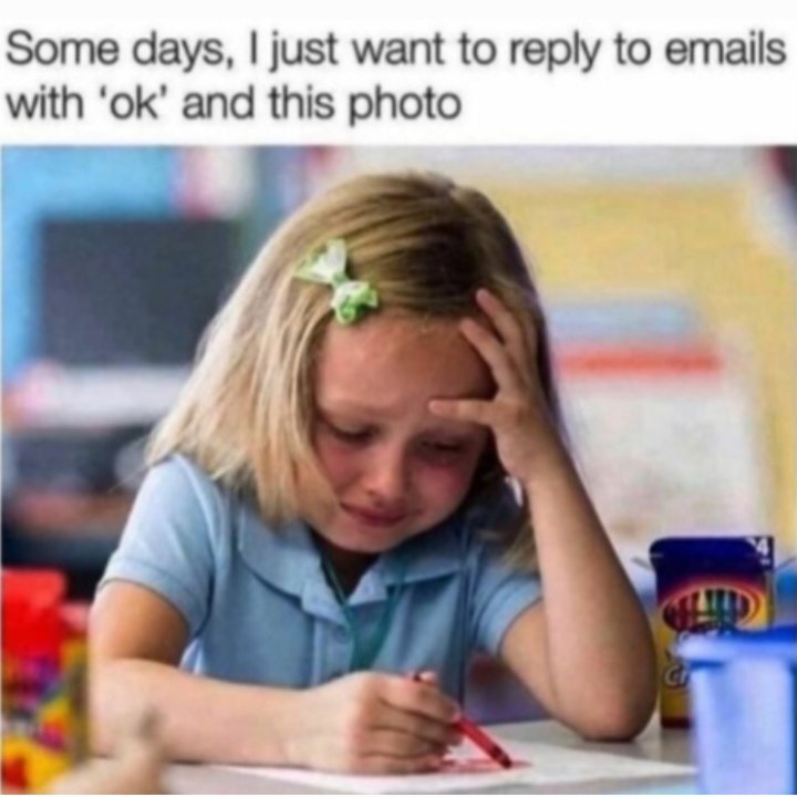D M Milkovic tweet media