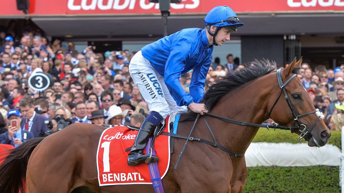 Ladbrokes Cox Plate tweet media