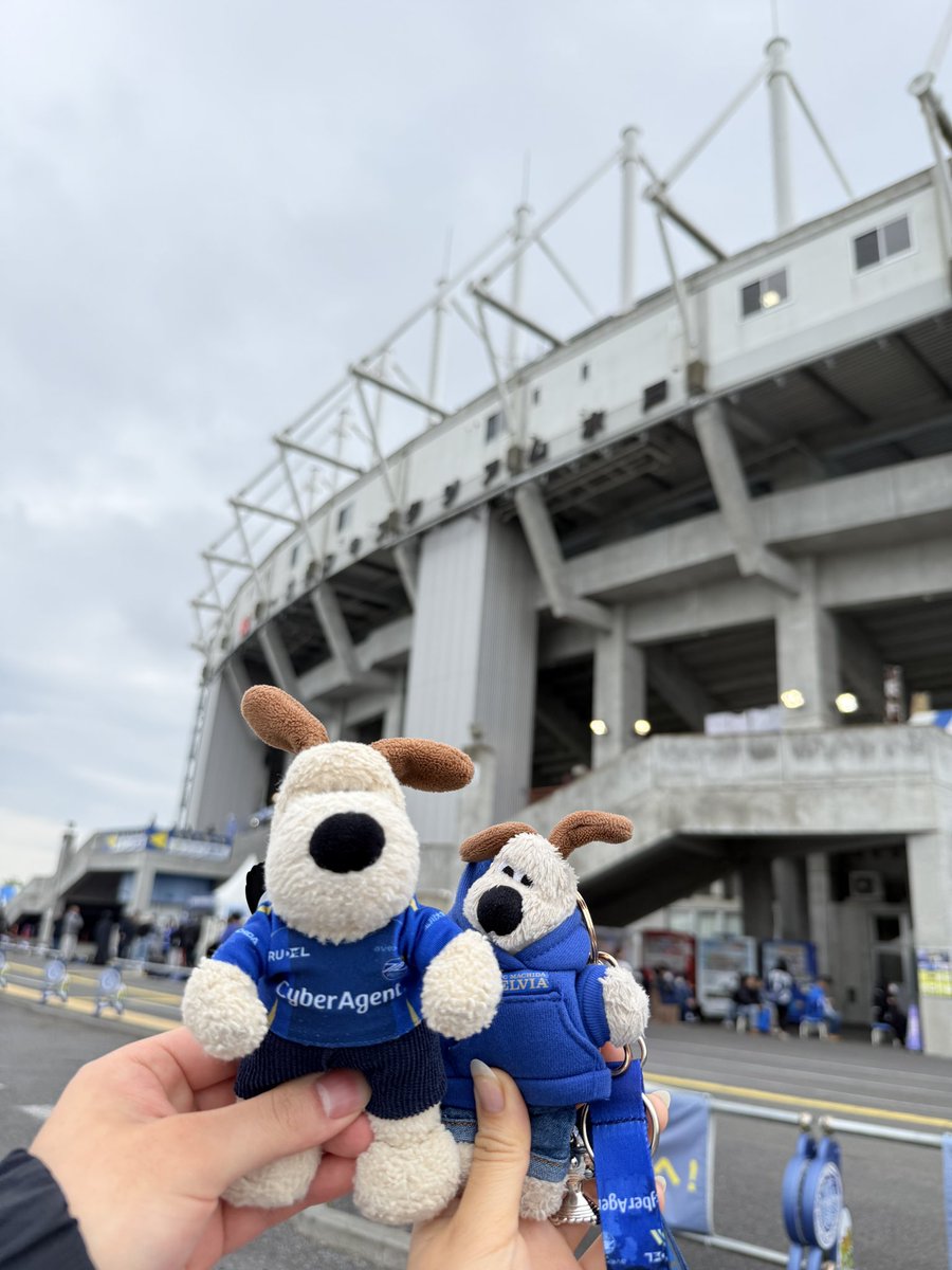 ジソン tweet media