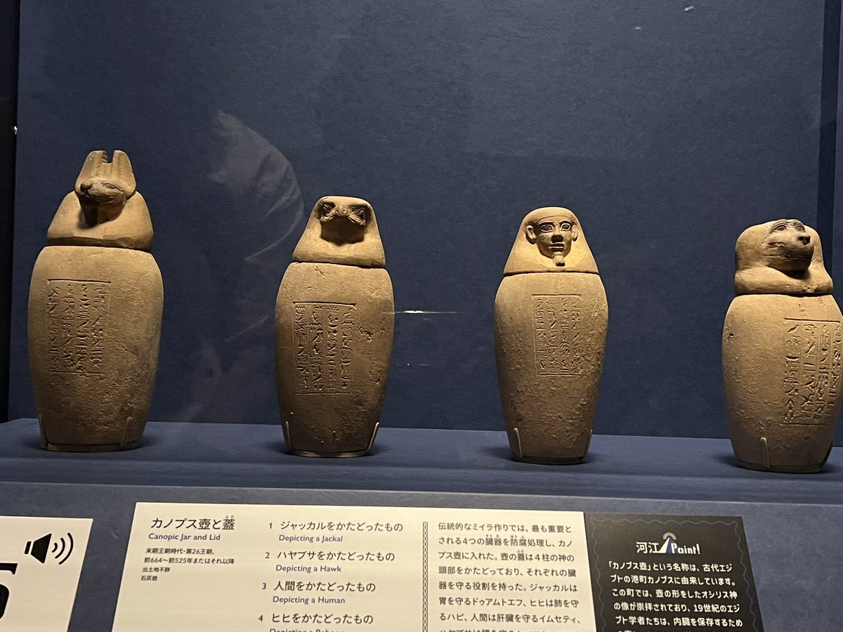 今日はエジプト展。混んでたけど楽しかった。レプリカじゃなくて実物