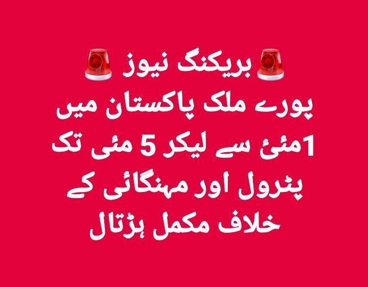 SyedaSherazi tweet media