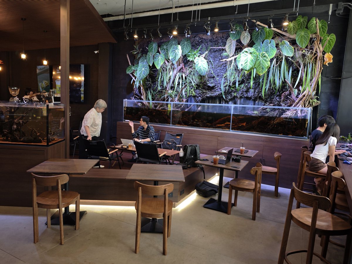 timbo ⚡ tweet media