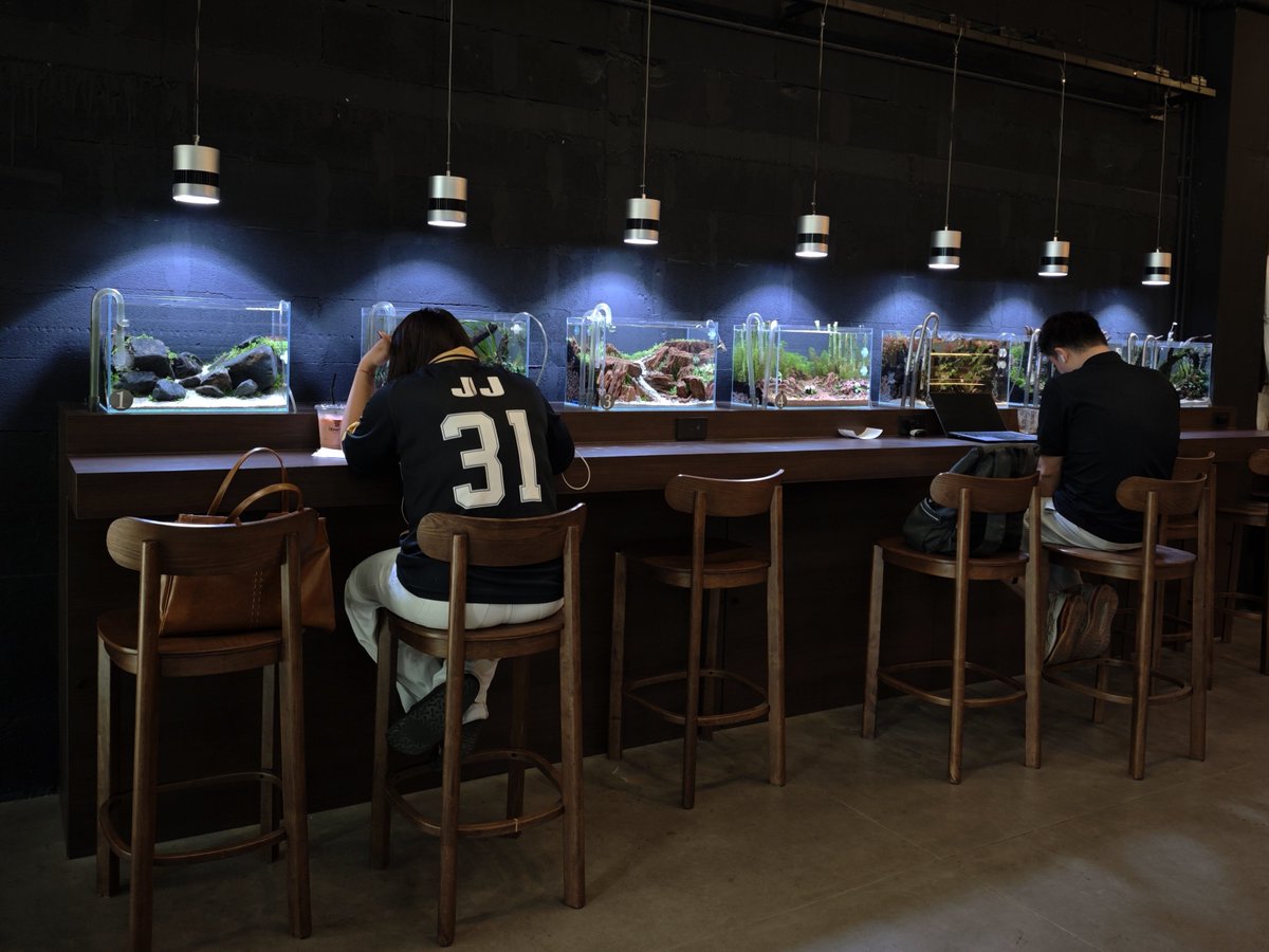 timbo ⚡ tweet media