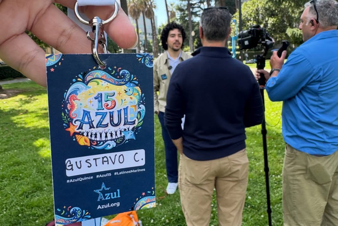 Azul tweet media