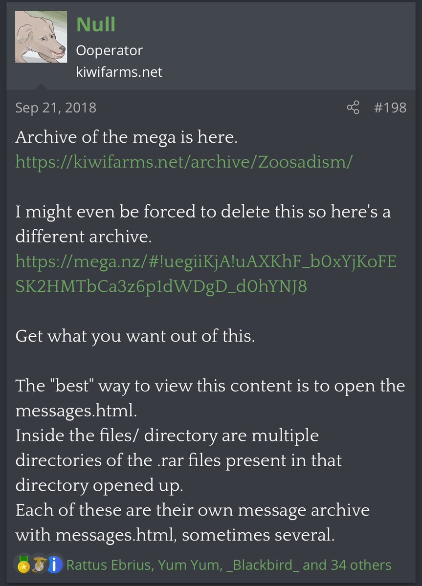 packergirl tweet media