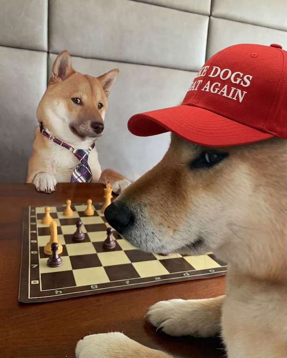 Make Dogs Great Again tweet media