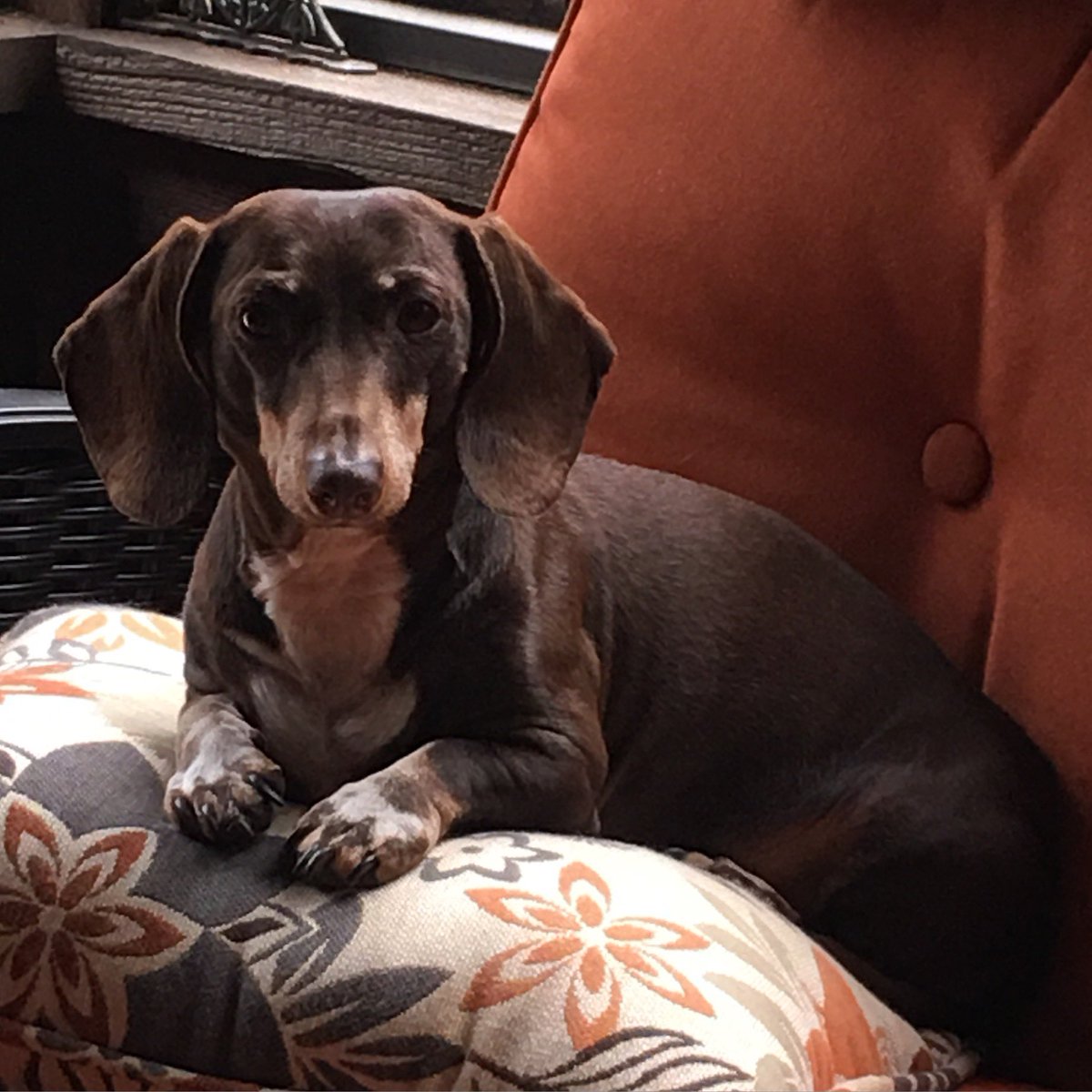 Ironworker808 (🏆🏆)(🏆🏆🏆) Two Bucs Three Bolts tweet media