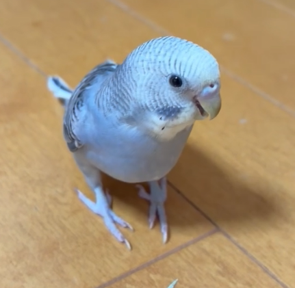 たっきー tweet media