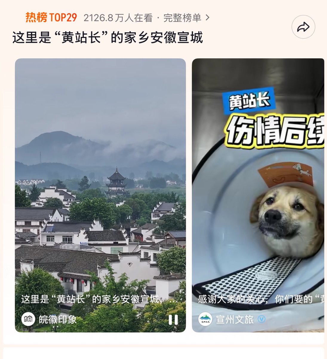 锁子哥 tweet media