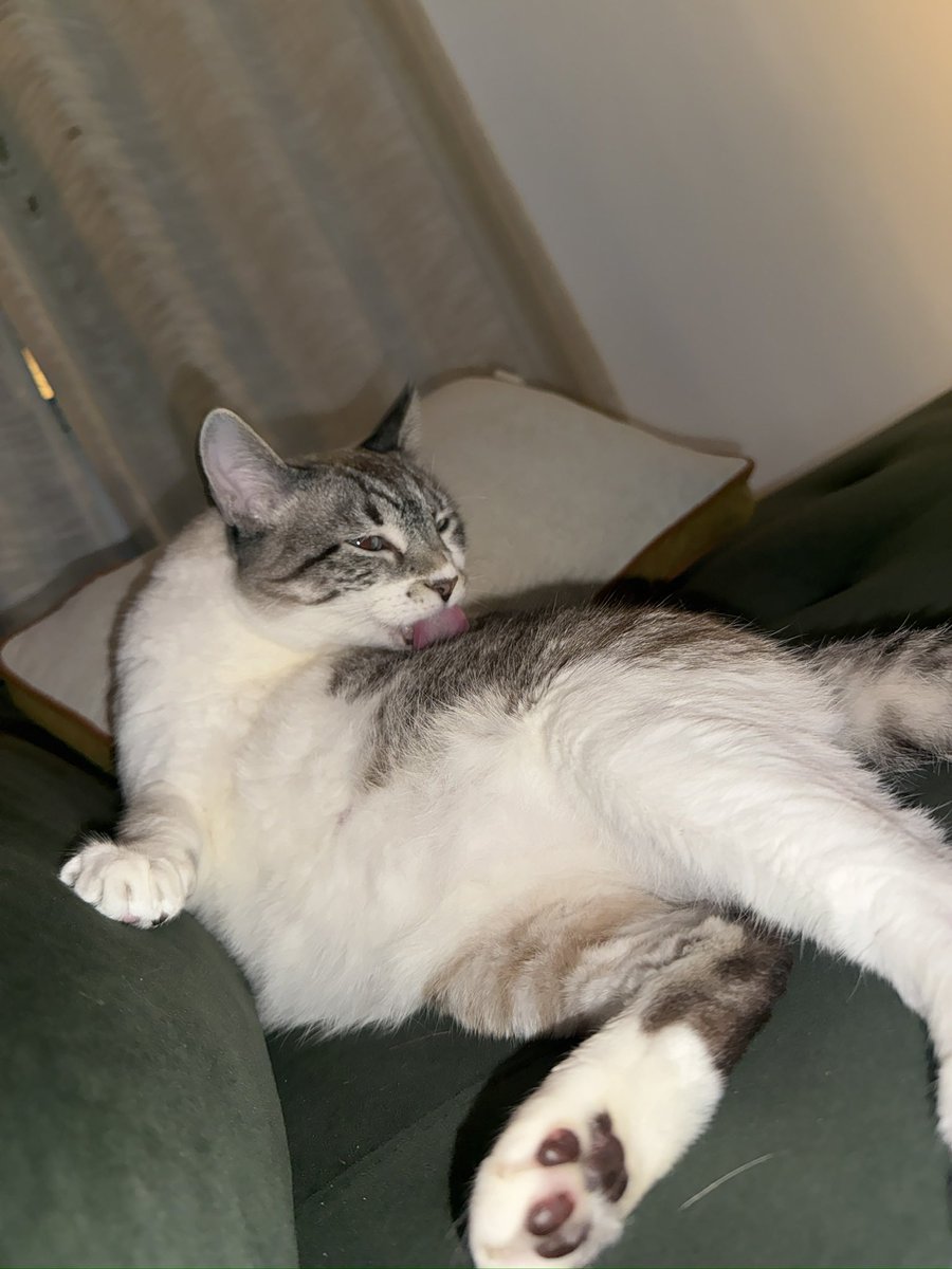 CAROL BIAZIN tweet media