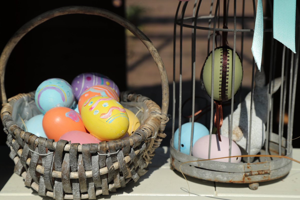 CDI881's tweet image. イースターエッグいっぱい🥚

#横浜イングリッシュガーデン
#スプリングフェスティバル
#Easter
#イースター
#イースターエッグ