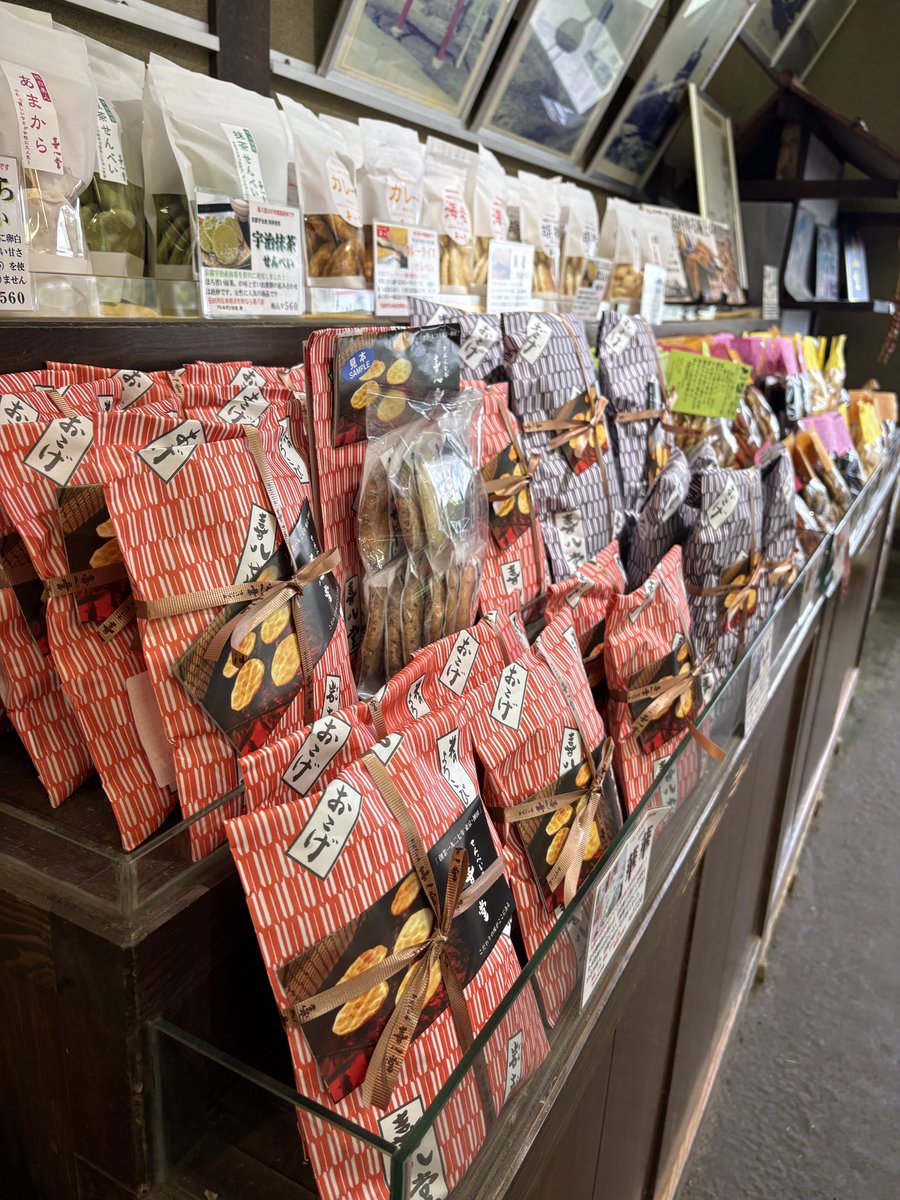 榎本れい(野田市)千葉県議会議員 tweet media