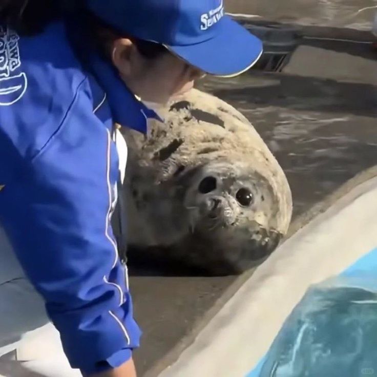 ⁺ ୨͟୧ . 𝒍𝒖𝒍𝒖 𝒑𝒖𝒅𝒊𝒎 🍮(- 5/10) tweet media