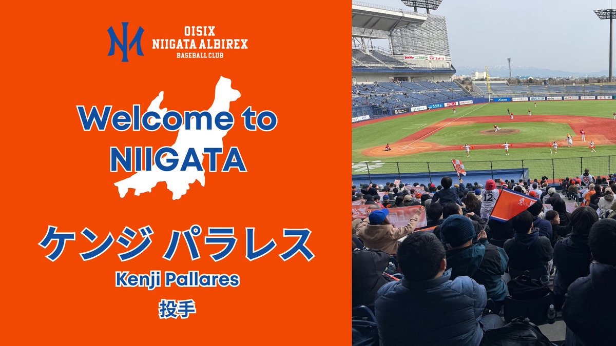 オイシックス新潟アルビレックスＢＣ【公式】 tweet media