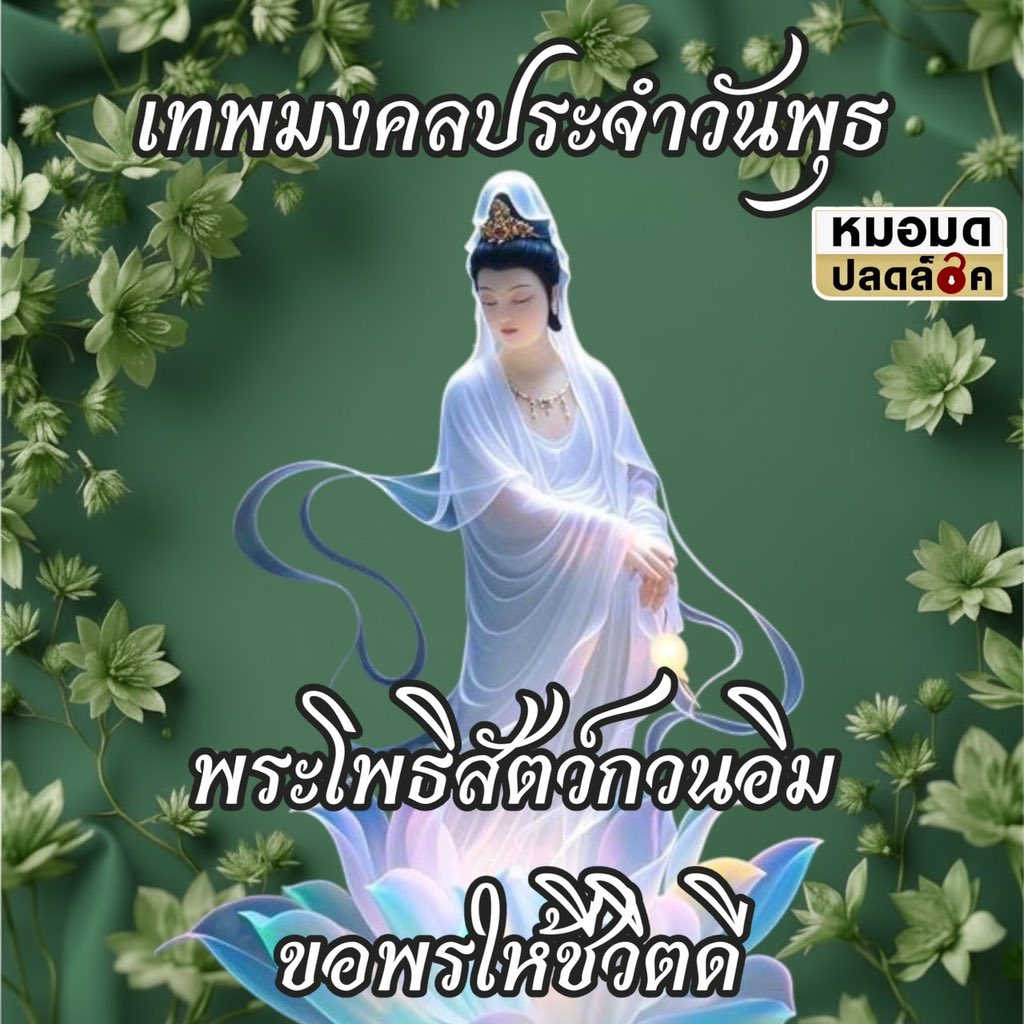 MormodPlodlock's tweet image. พลังเทพมงคลเสริมดวง ประจำวันที่ 29 เมษายน 2569

“พระโพธิสัตว์กวนอิม”

#ปลดล็อคไลฟ์Daily
#LifeTips
#Upgradeชีวิต
#มูอย่างมีสติ
#สายมูยุคใหม่

*เคาะใต้องค์เทพสองครั้งแล้วขอพร*