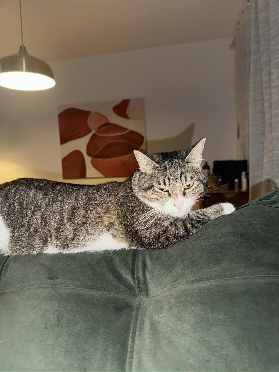 CAROL BIAZIN tweet media