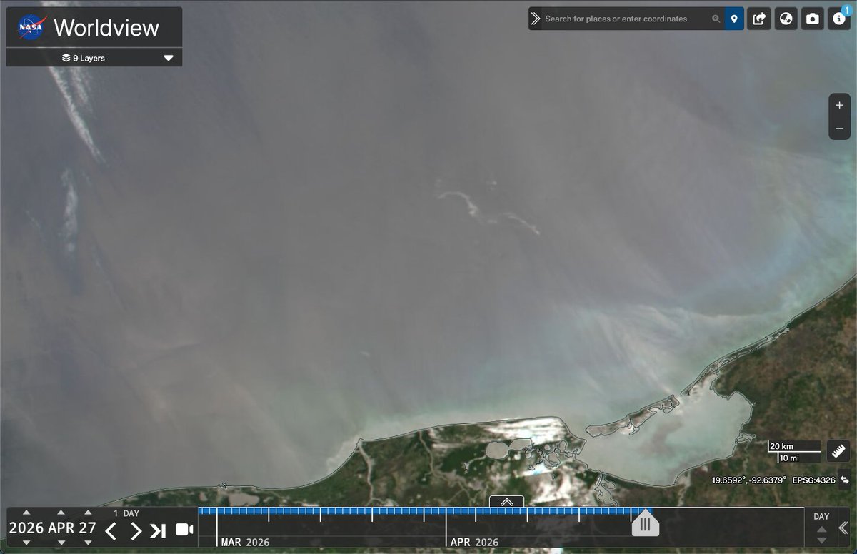 Pandita rojo 🐳 tweet media