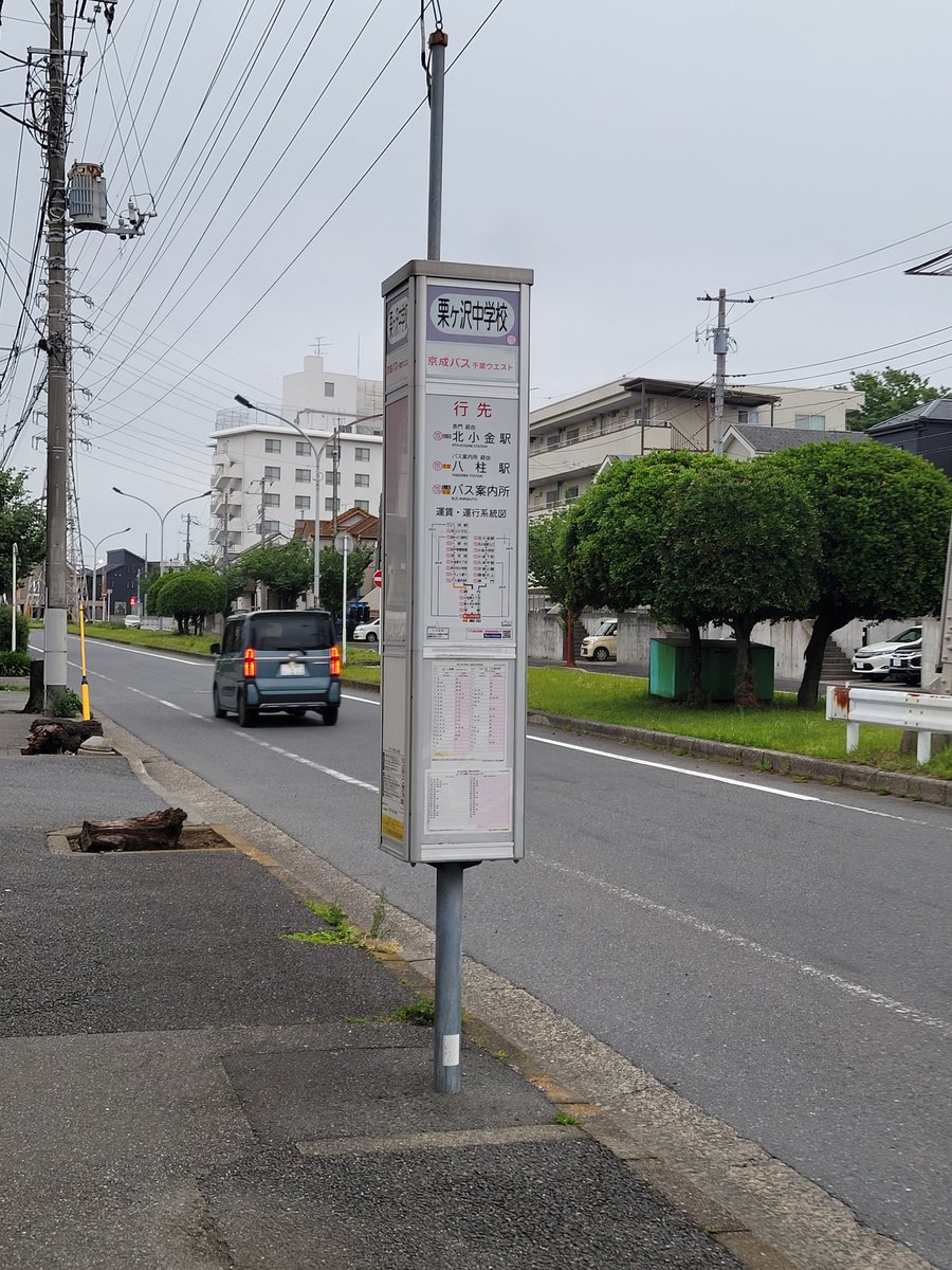 ペニレイ tweet media