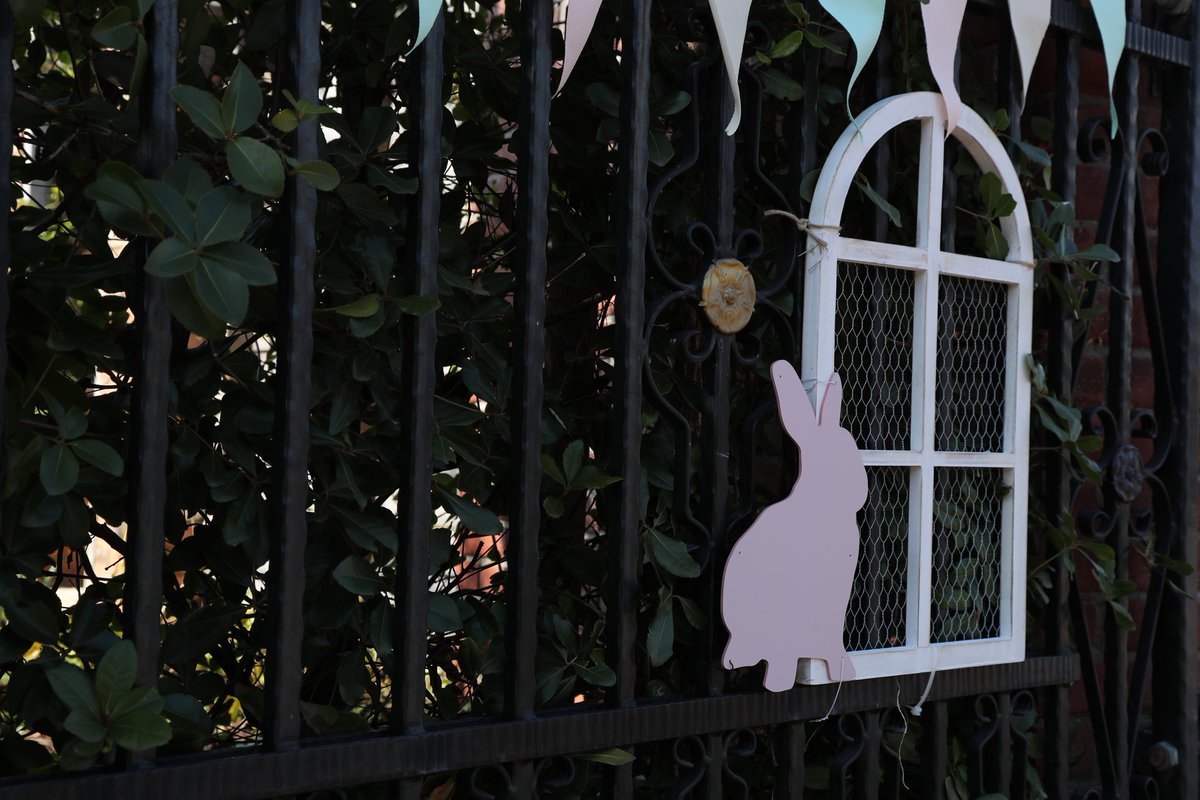 CDI881's tweet image. 脱走ウサギ🐰(笑)

#横浜イングリッシュガーデン
#スプリングフェスティバル
#Easter
#イースター