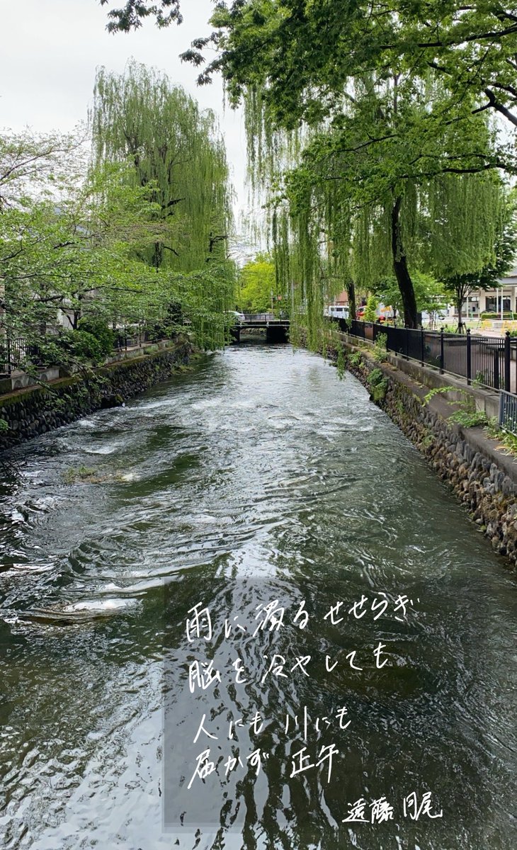 雨に濁るせせらぎ脳を冷やしても人にも川にも届かず正午　#短歌