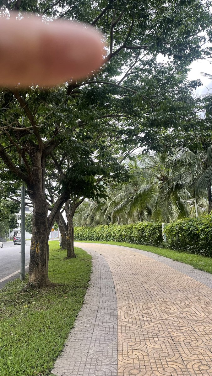 Duc Thanh | Ethan Nguyen tweet media